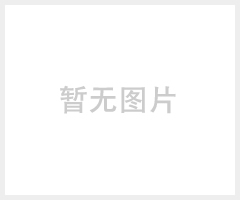 ZW32-12G/630-20 高壓真空斷路器帶隔離柱上真空斷路器