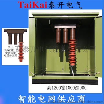 泰開電氣供應(yīng)35KV電纜分支箱一進(jìn)一出帶避雷器DFW-40.5