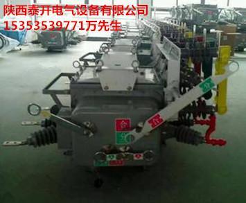 ZW20-12戶外智能真空斷路器 看門狗柱上斷路器